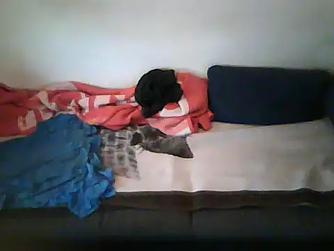 schmidtler35's Live XXX Chat