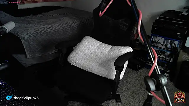 DevilPup75_: διαδικτυακό σόου στην κάμερα