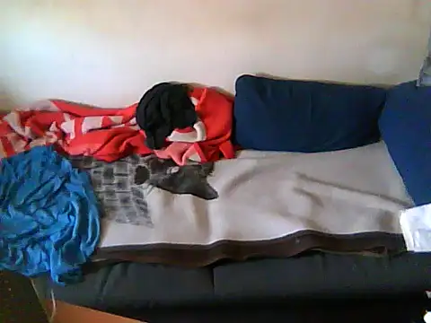 schmidtler35 Adlı Modelin Canlı XXX Sohbeti