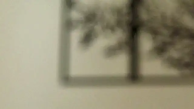 TashiaBosack Obrolan Langsung XXX