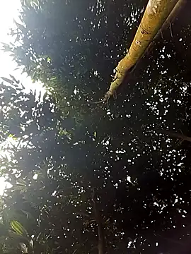 Girl_cutee's Webcam Show