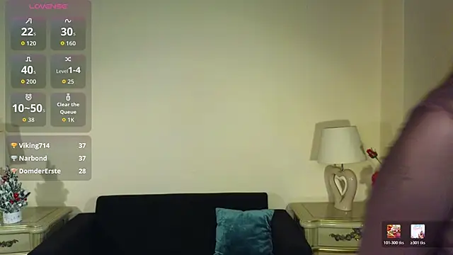 rokroxy 现场XXX聊天