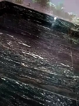 dolphiinn live XXX chat