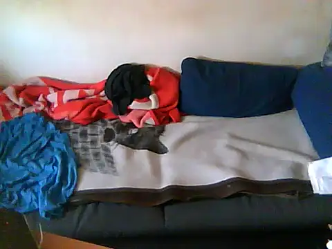 دردشة schmidtler35 الجنسية المباشرة