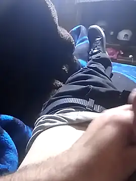 Cogelonregioのウェブカメラショー