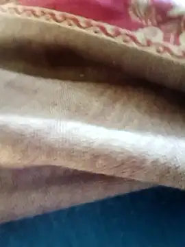 Show de Desi_Biwi na webcam