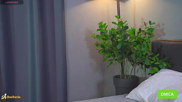 Bellacle 现场XXX聊天