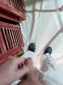 GeilerSchweizer: απευθείας συνομιλία ΧΧΧ