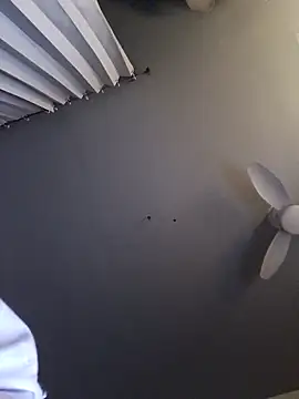 Chat +18 de bimexpoexist ao vivo