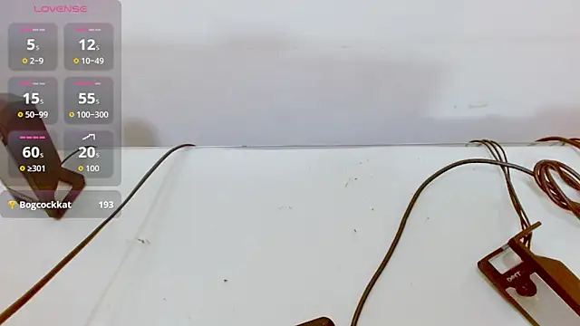 Dolldirtyxxx Live XXX Chat