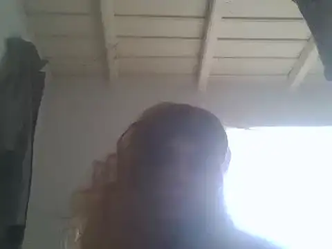 MEllSE2n Webbikameraesitys