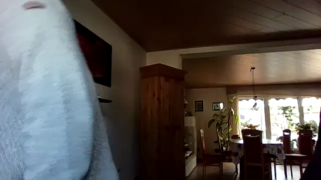 Nobbie444's Live XXX Chat