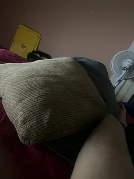 Futsam638のウェブカメラショー