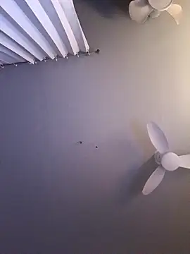 bimexpoexist Live XXX-Chat