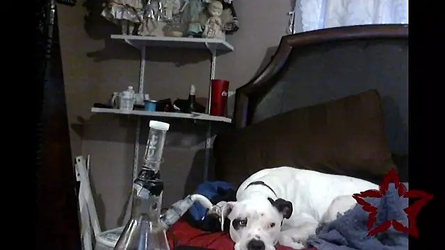 PNPSPUN1's Live XXX Chat