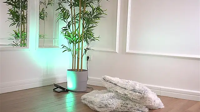 CherrysweettのライブXXXチャット