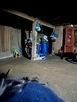 ava-dellght: απευθείας  συνομιλία ΧΧΧ