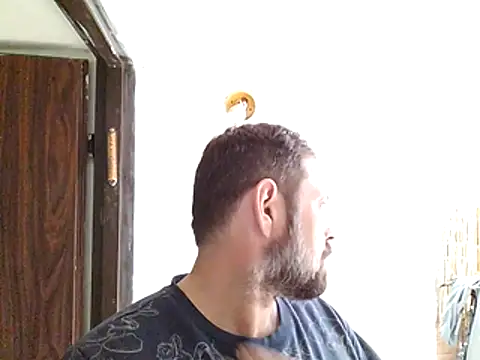 zefside42's Live XXX Chat