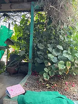 Sofyalone_ élő XXX-chatje