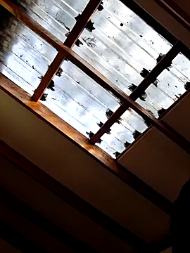 Blackforest10 Show in webcam