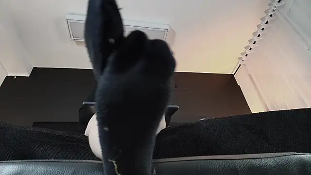 Chat XXX en directo de _Jade_16