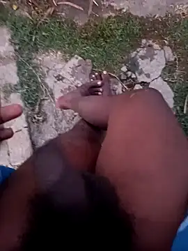 dolphiinn Live XXX Chat