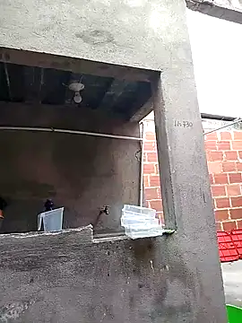 ariana_d20: απευθείας συνομιλία ΧΧΧ