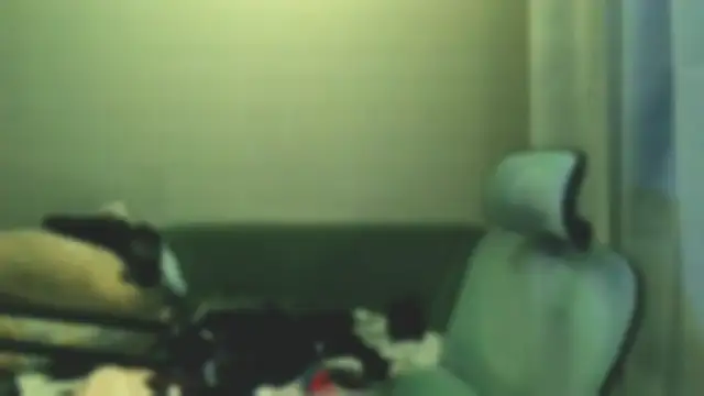 Chat XXX ao vivo de LeonBoykisser