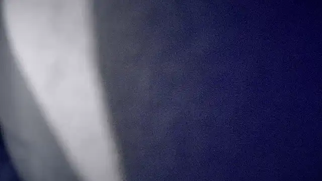 jasoncali305 élő XXX-chatje