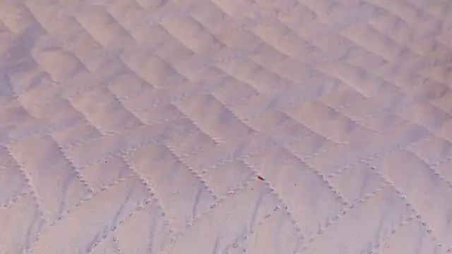 ambar_rosse25 现场XXX聊天