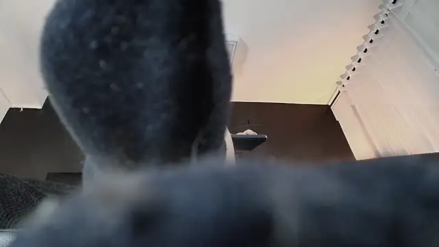 XXX chat uživo modela _Jade_16