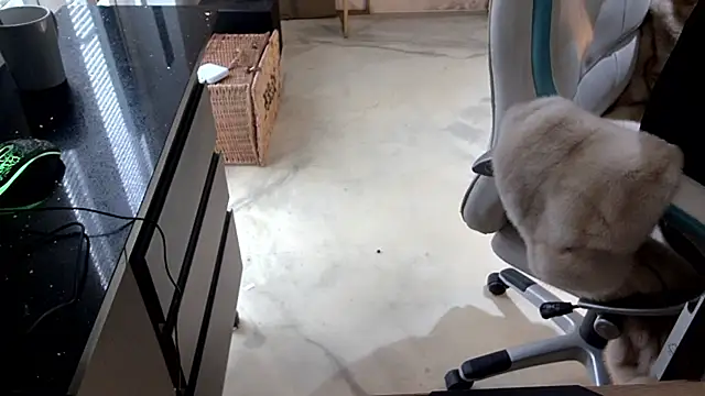 Živý XXX chat foxyroxymilf