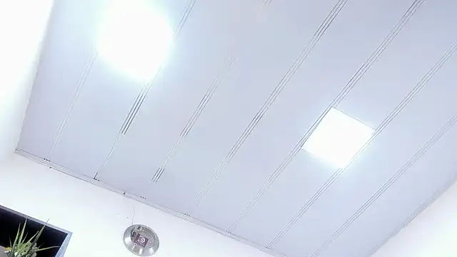 mariaa_fernanda élő XXX-chatje