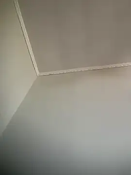 Asspink's Webcam Show