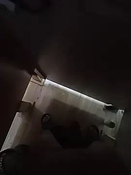 GoodToonDick 라이브 XXX 채팅