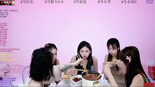 ATY1314のウェブカメラショー