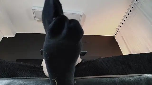 _Jade_16's Live XXX Chat