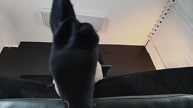 _Jade_16 라이브 XXX 채팅