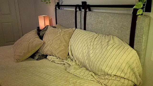 ivynyxx's Webcam Show