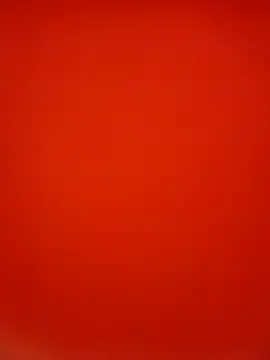 Show webcam de Handsomelyurs