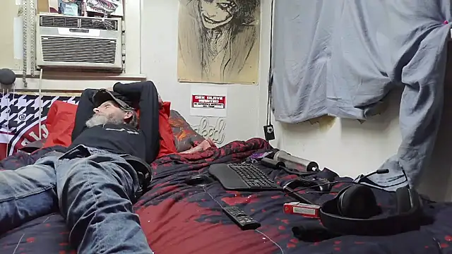 Show webcam de Spotless_Load