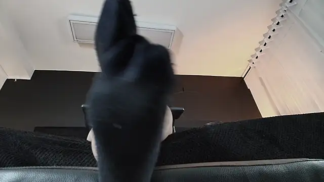 _Jade_16's Live XXX Chat