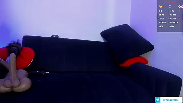 Chat XXX en directo de Venus_R0se