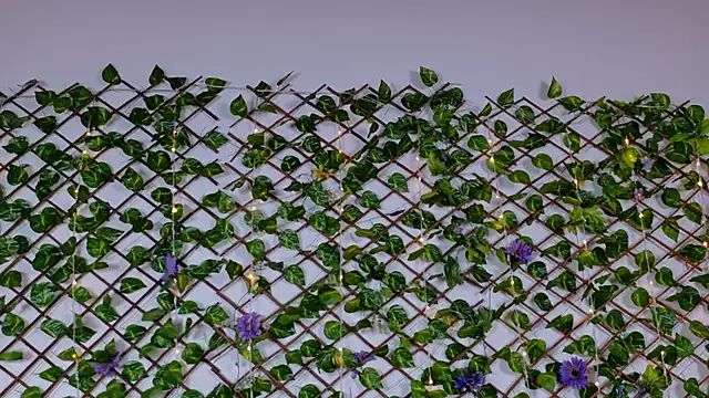 Онлайн чат XXX alice_rous21