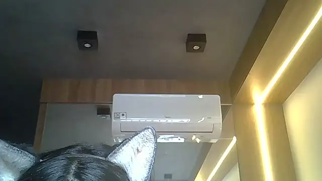 SkinnyKitten's Webcam Show