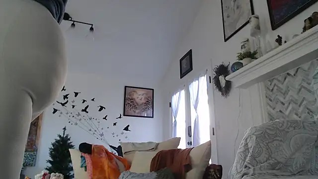 AuroraWillows 现场XXX聊天