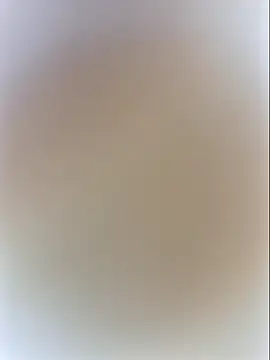 darialmas Live XXX-Chat