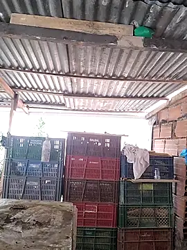 hotederのライブXXXチャット