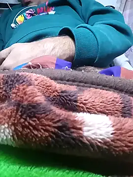 عرض كام Expresshorse