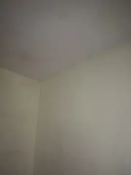 arabayla's Live XXX Chat